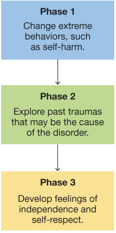 <ul><li><p>created by Marsha Linehan in 1980s</p></li><li><p>combines elements of CBT with a mindfulness approach based on Eastern meditative practices</p></li><li><p>patients are seen in both group and individual sessions</p></li><li><p>three stages in image</p></li><li><p>used for personality disorders</p><ul><li><p>no other threatment exists for personality disorders</p></li></ul></li><li><p>DBT is most successful for borderline personality disorder</p></li></ul><p></p>