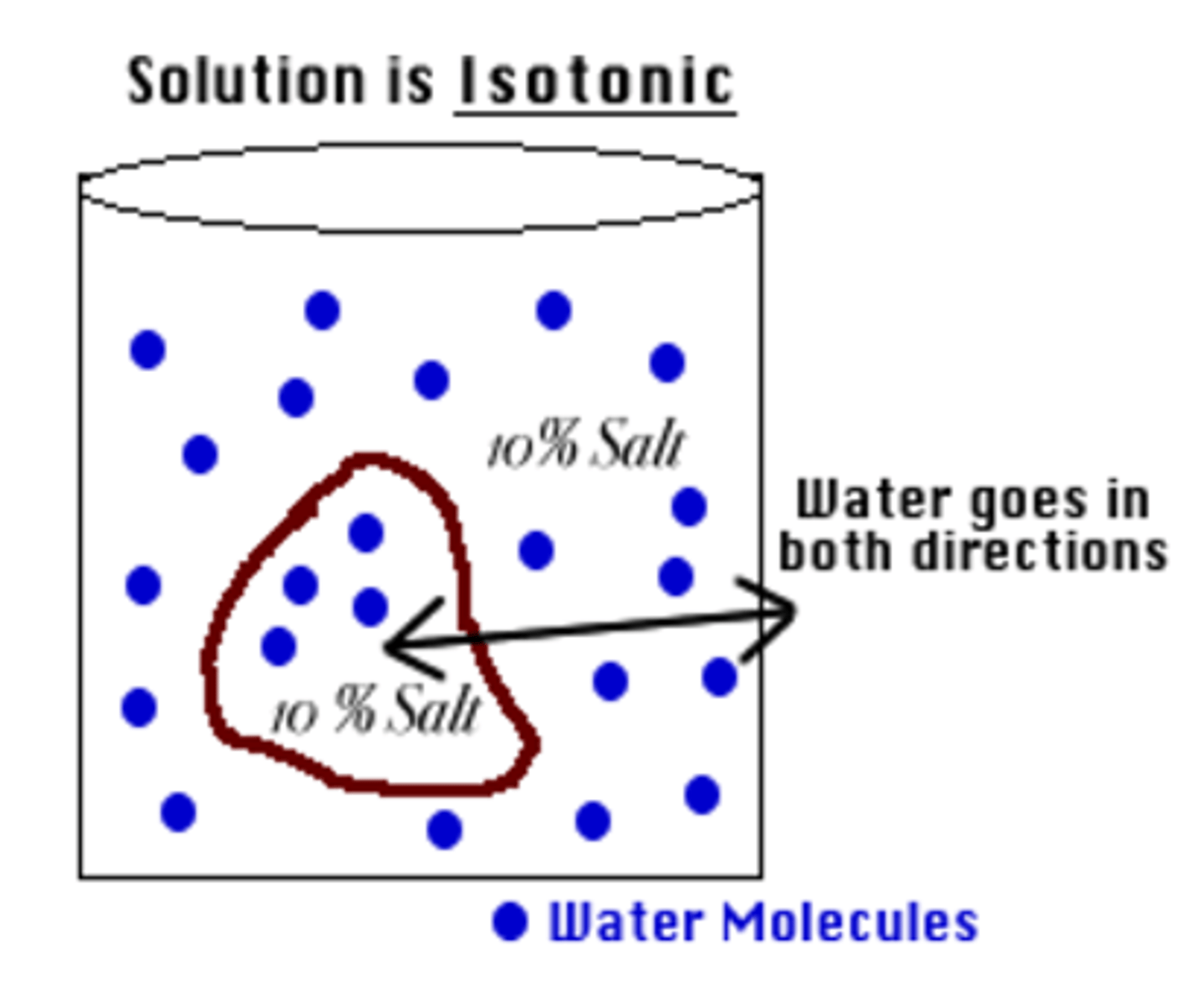 <p>-Solute concentration inside and outside the cell are equal</p><p>-ex:Immunizations and other solutions given to you by a doctor are so cells are not damaged by loss/gain of water</p>