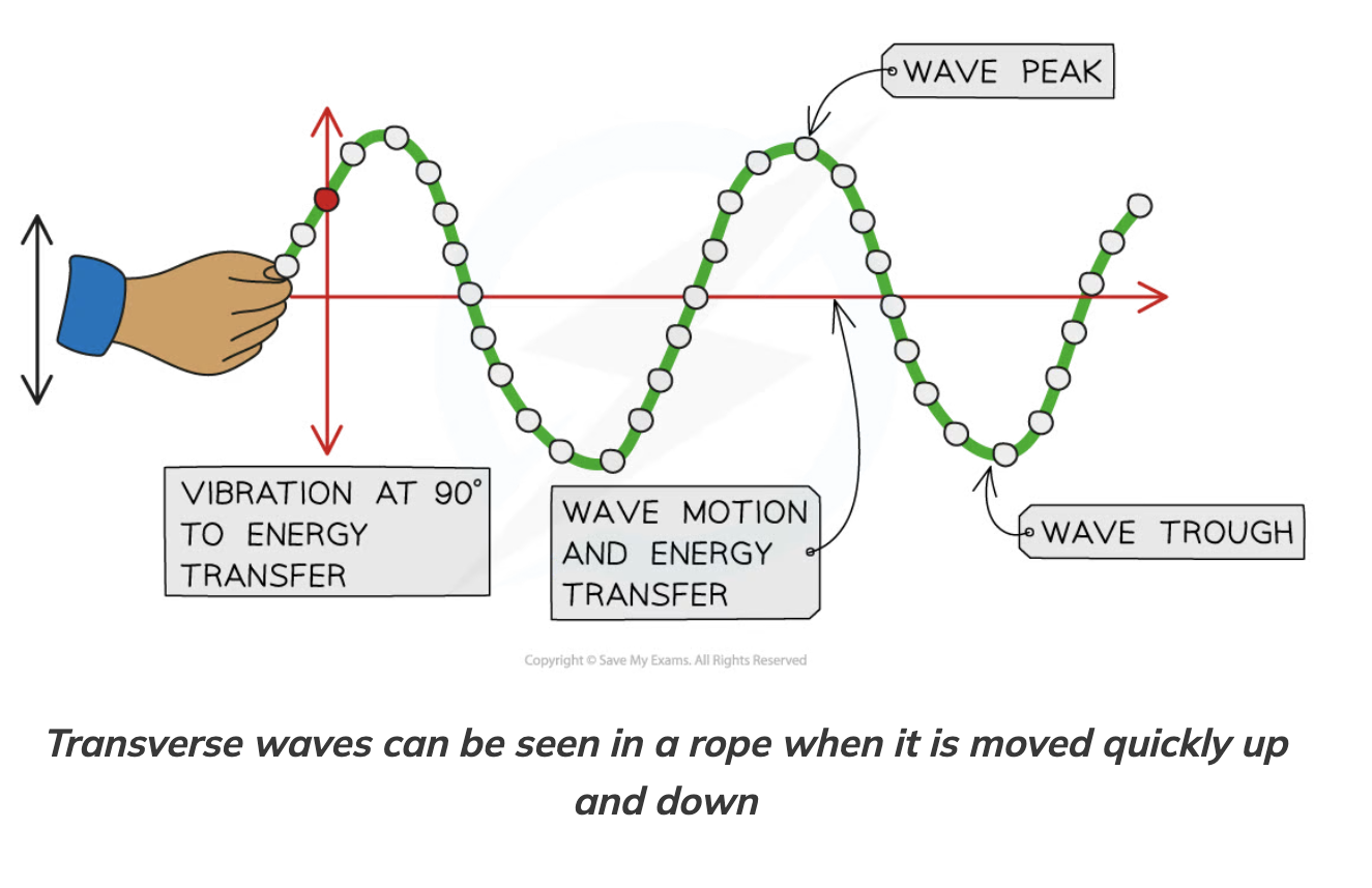 <p>lowest point on the wave below the rest position</p>