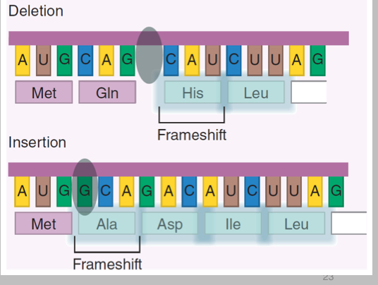 <p>What can be said about insertion/deletion?</p>