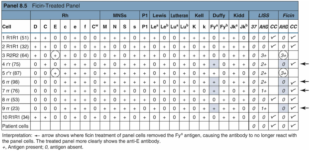 <p>include papain, bromelain, and ficin, used to alter antigen expression on red blood cells. </p>