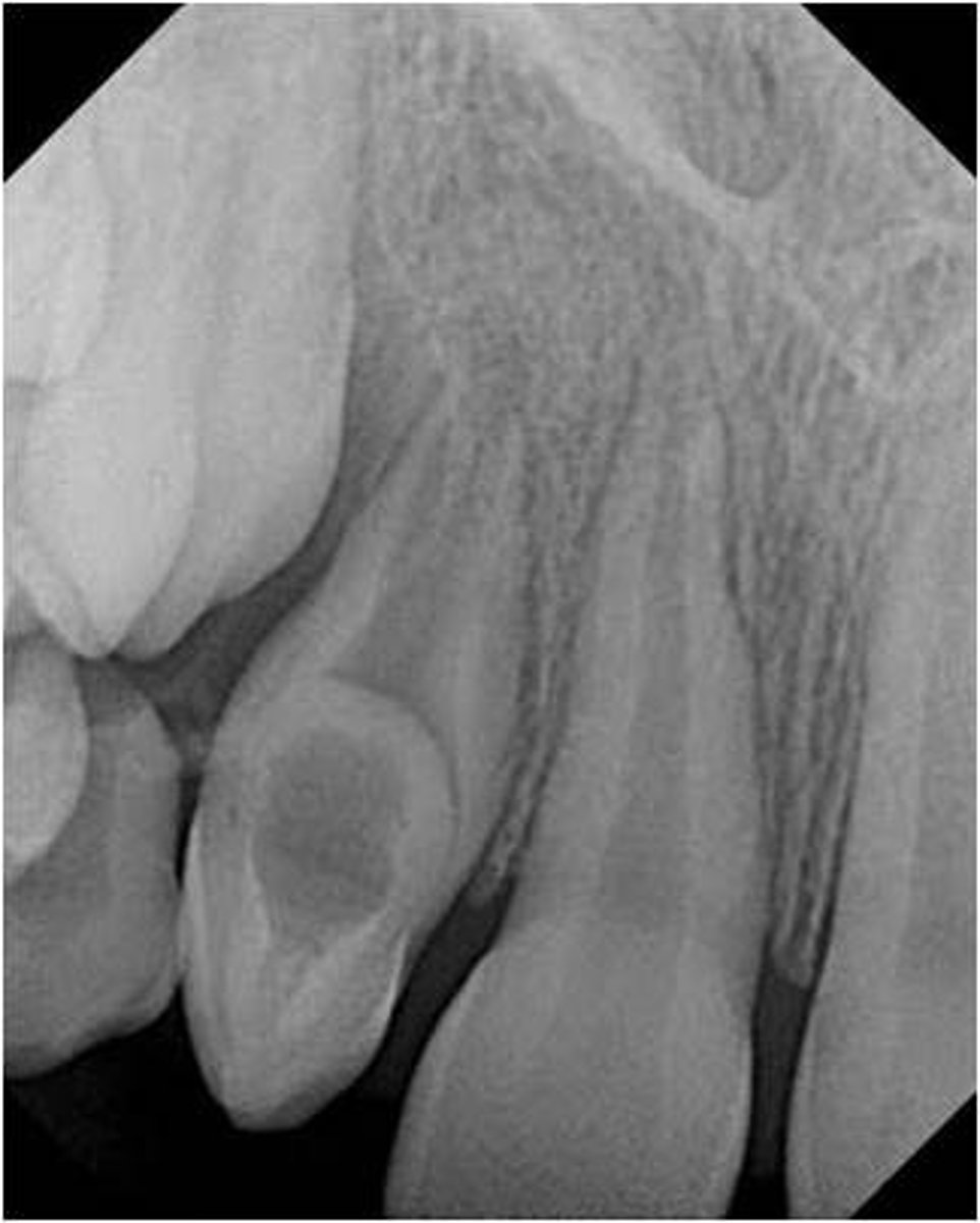 <p>what is this</p><p>what does it mean</p>