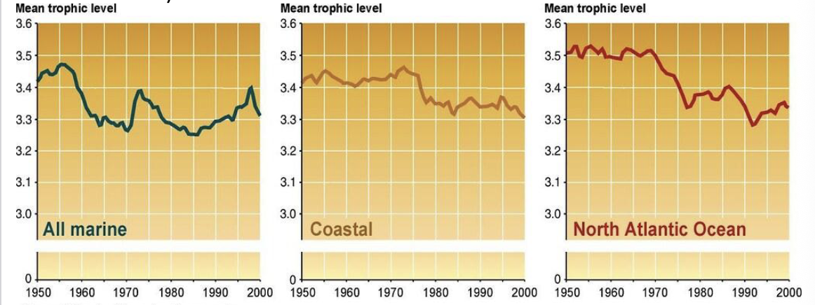 <p>objective, key finding, interpretation, ecological implications </p>