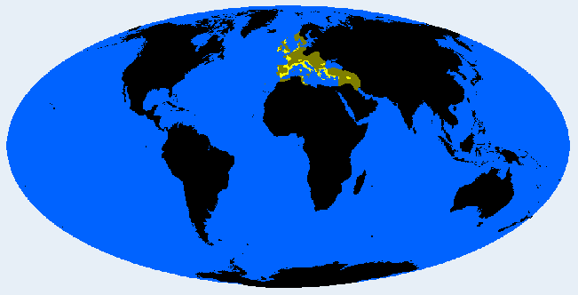 <p>Litorid (Armenoid, Dinarid, Mediterranid)</p>