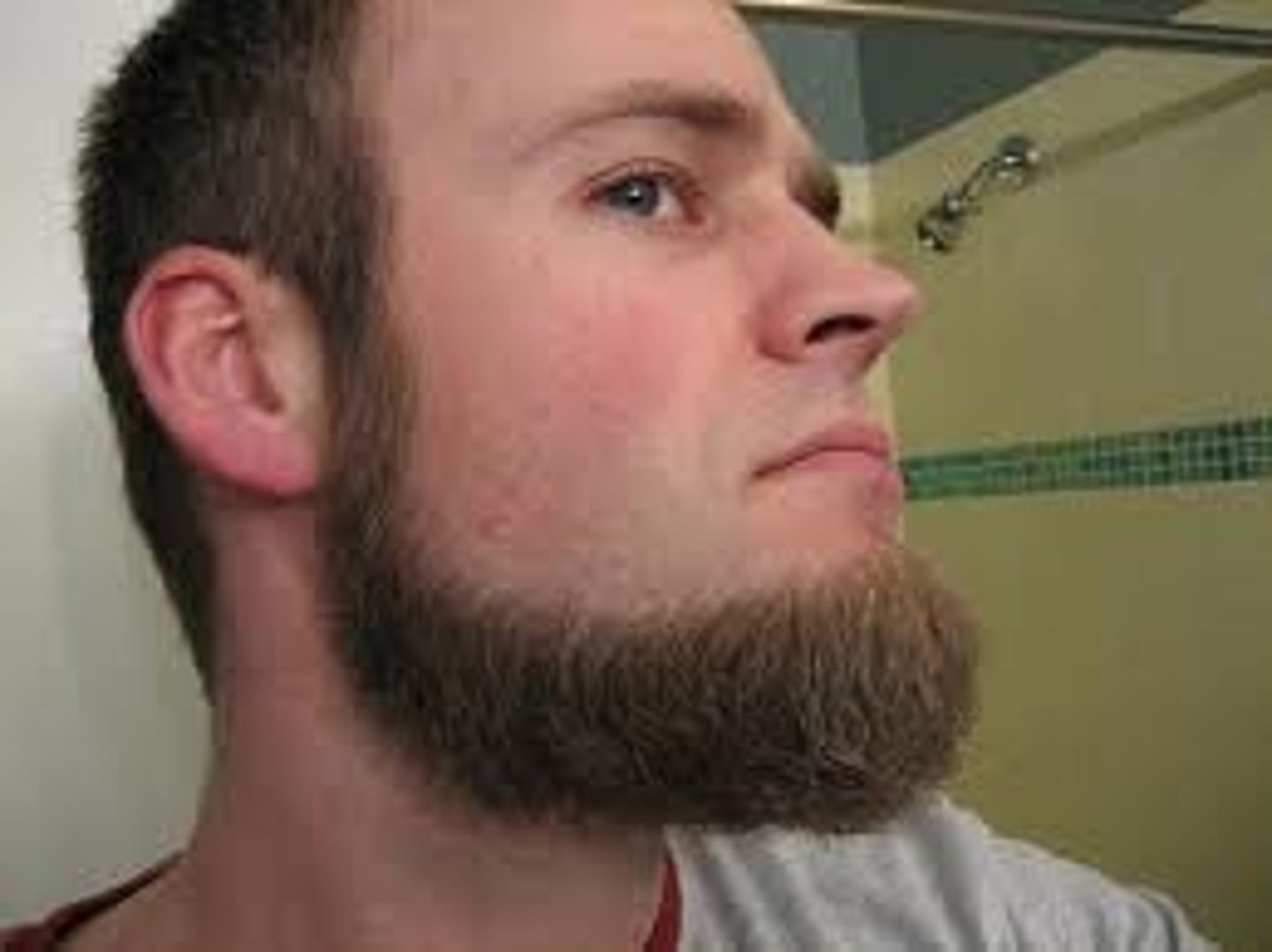 <p>beard</p>