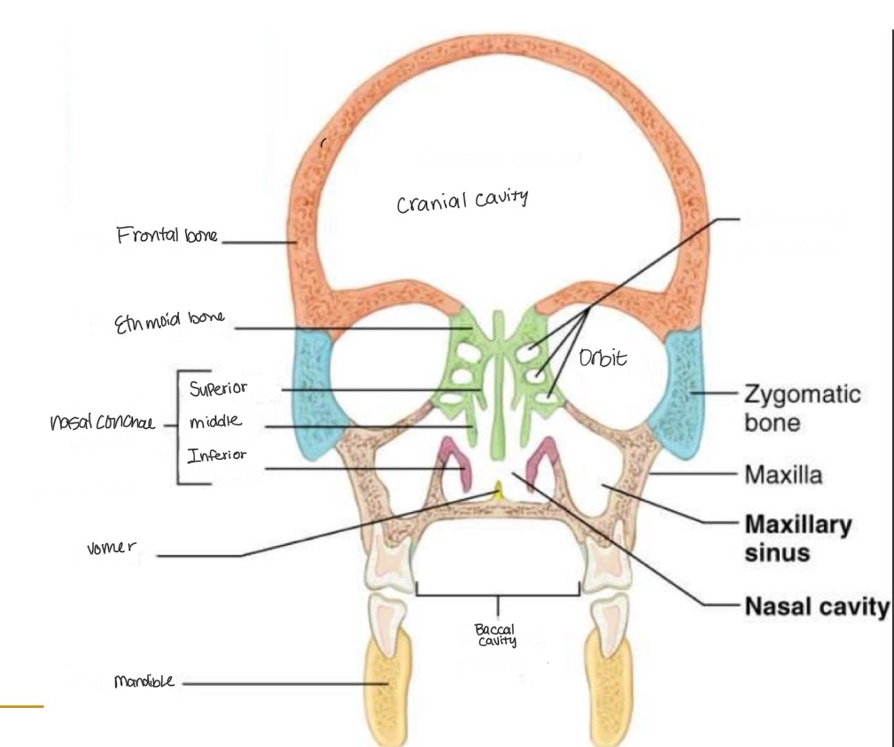 <p><br>label missing word on diagram</p>