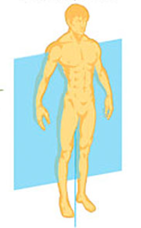 <p>Frontal (coronal) plane:</p>