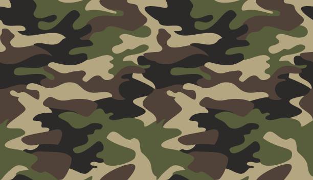 <p>camouflage</p>