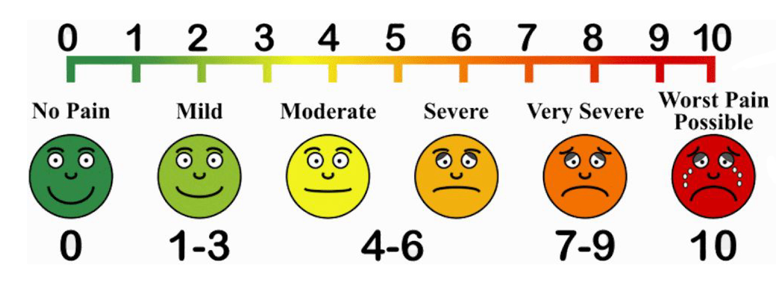 <ul><li><p>subjective → difficult to interpret</p></li><li><p>rated on scale 1-10 (10 being the worst)</p></li><li><p>ask general questions to determine location, onset, and characteristics</p></li><li><p>document any medication used to relieve symptoms</p></li></ul><p></p>