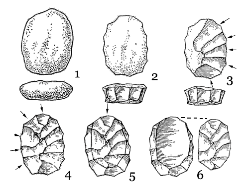 <p>“Levallois” technique</p>