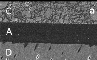 <p>layer D </p>