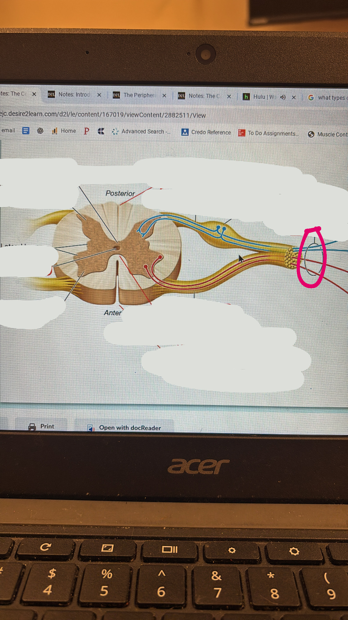 knowt flashcard image