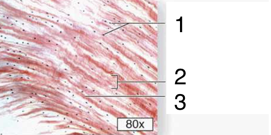 <p>What is #3?</p>