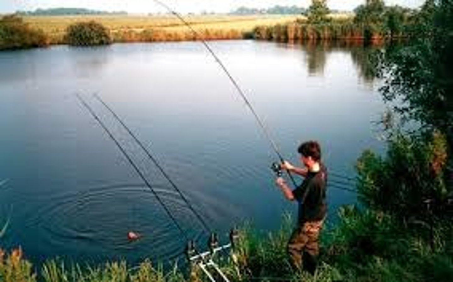 <p>to fish</p>
