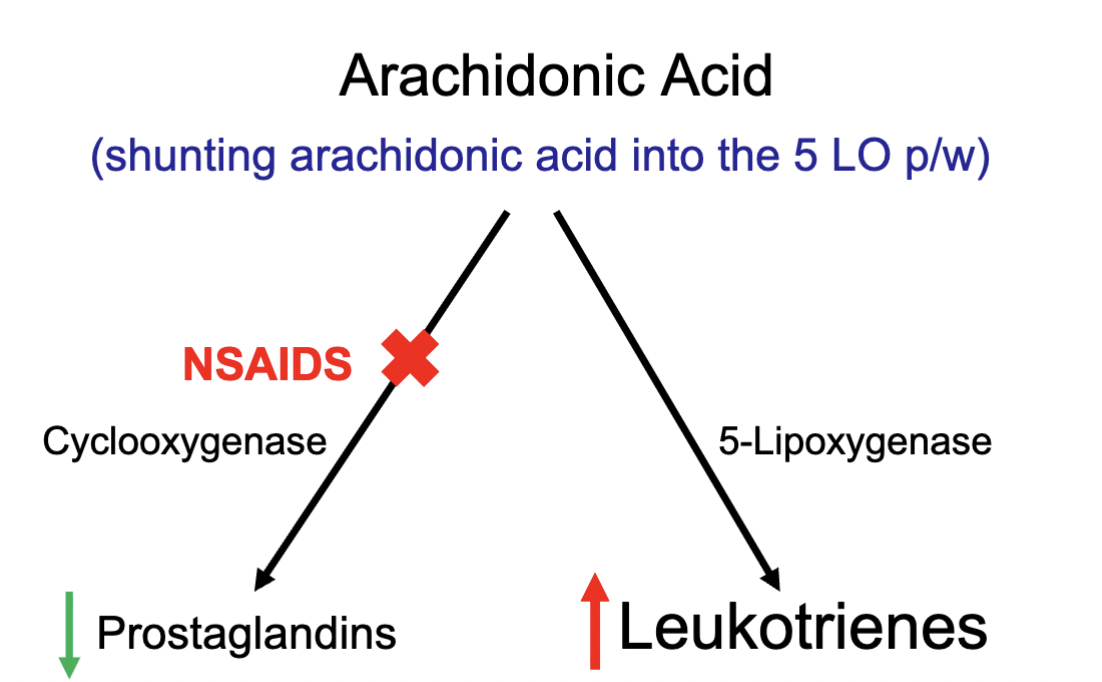 <p><strong>When using NSAIDs, Arachidonic acid cannot be metabolised via COX as the pathway is blocked</strong></p><ul><li><p>Decrease of prostaglandins</p></li><li><p><strong><mark data-color="#ff0000" style="background-color: rgb(255, 0, 0); color: inherit;">However, the AA has to metabolise in some form, therefore Leukotrienes conc increases</mark></strong></p></li><li><p><strong><mark data-color="#ff0000" style="background-color: rgb(255, 0, 0); color: inherit;">Leukotrienes promotes narrowing of the airways (bronchoconstriction)</mark></strong></p></li></ul><p></p>
