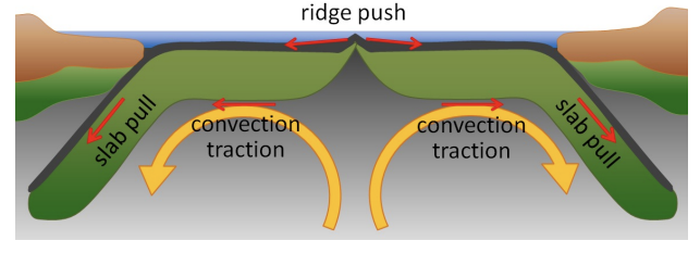 <p><strong>slab-pull model</strong></p>