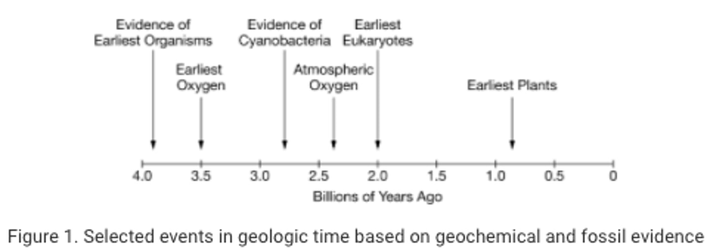 <p>A researcher claims that the initial rise of oxygen in Earth's early atmosphere, which occurred approximately 2.3 billion years ago, resulted from the metabolic activity of prokaryotic organisms. The claim is based on an interpretation of the geochemical and fossil evidence represented in Figure 1.<br>Which of the following types of evidence will best support the researcher's claim?</p>