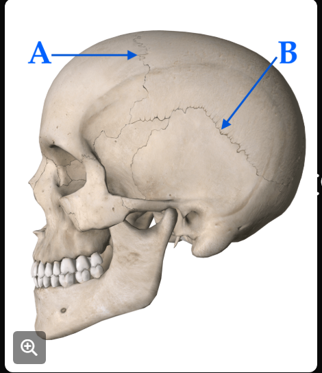 <p>What’s A?</p>