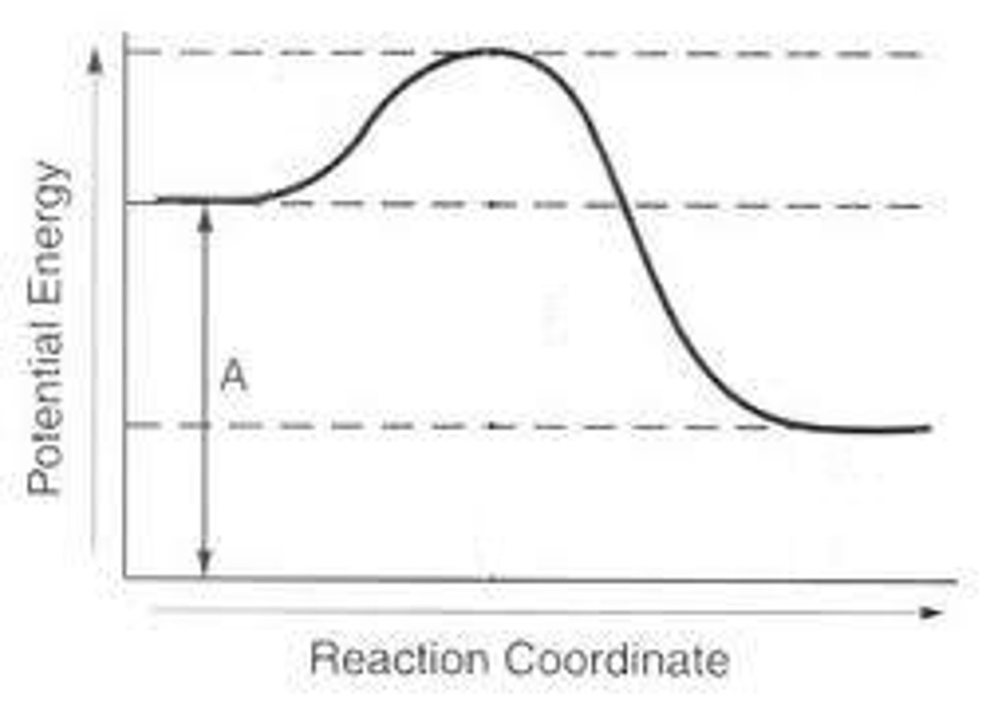 <p>What A represents on the diagram in the forward direction</p>