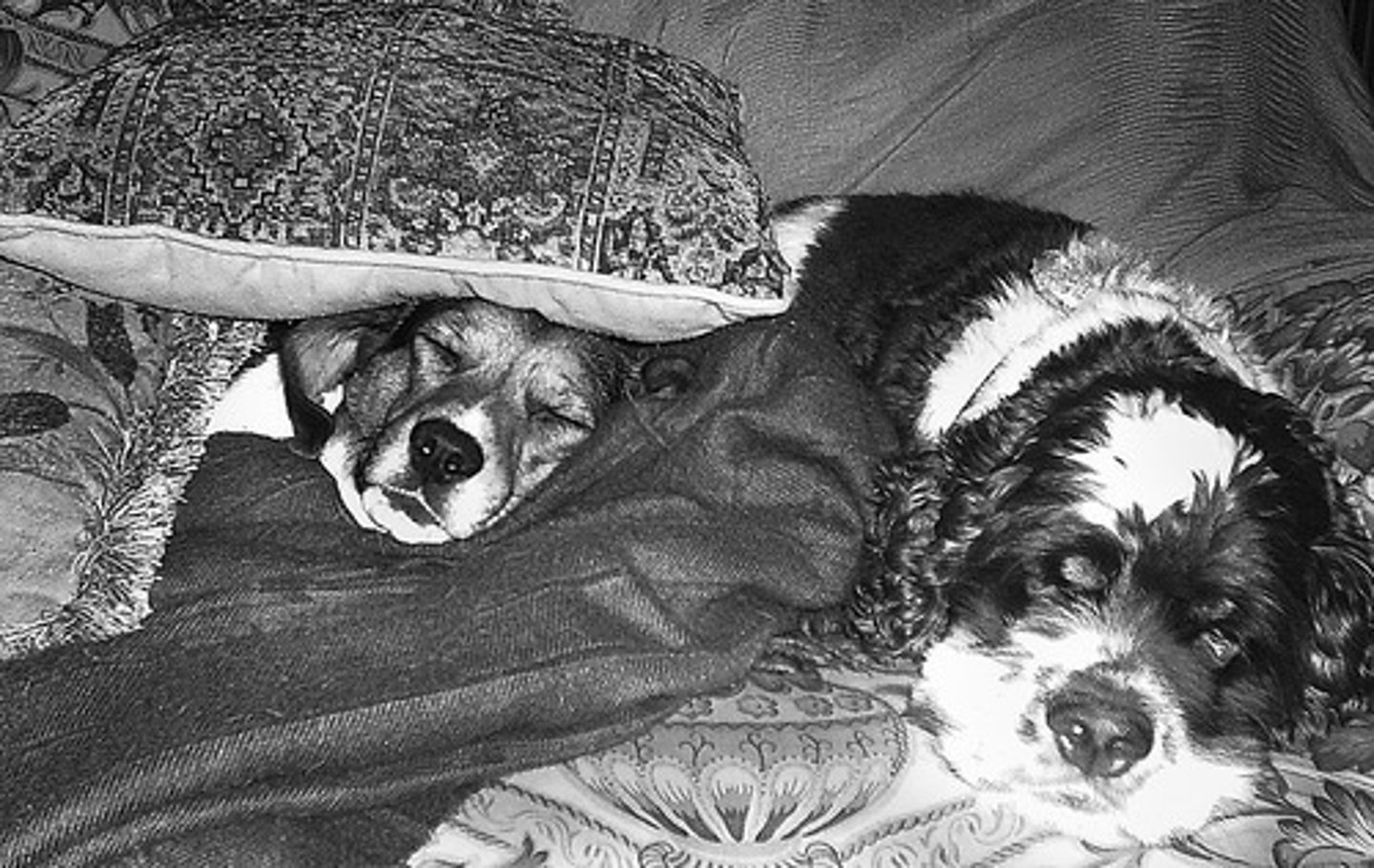 <p>To bring about; to produce</p>