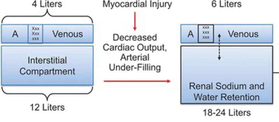 <p>how do the following change in heart failure patient </p>