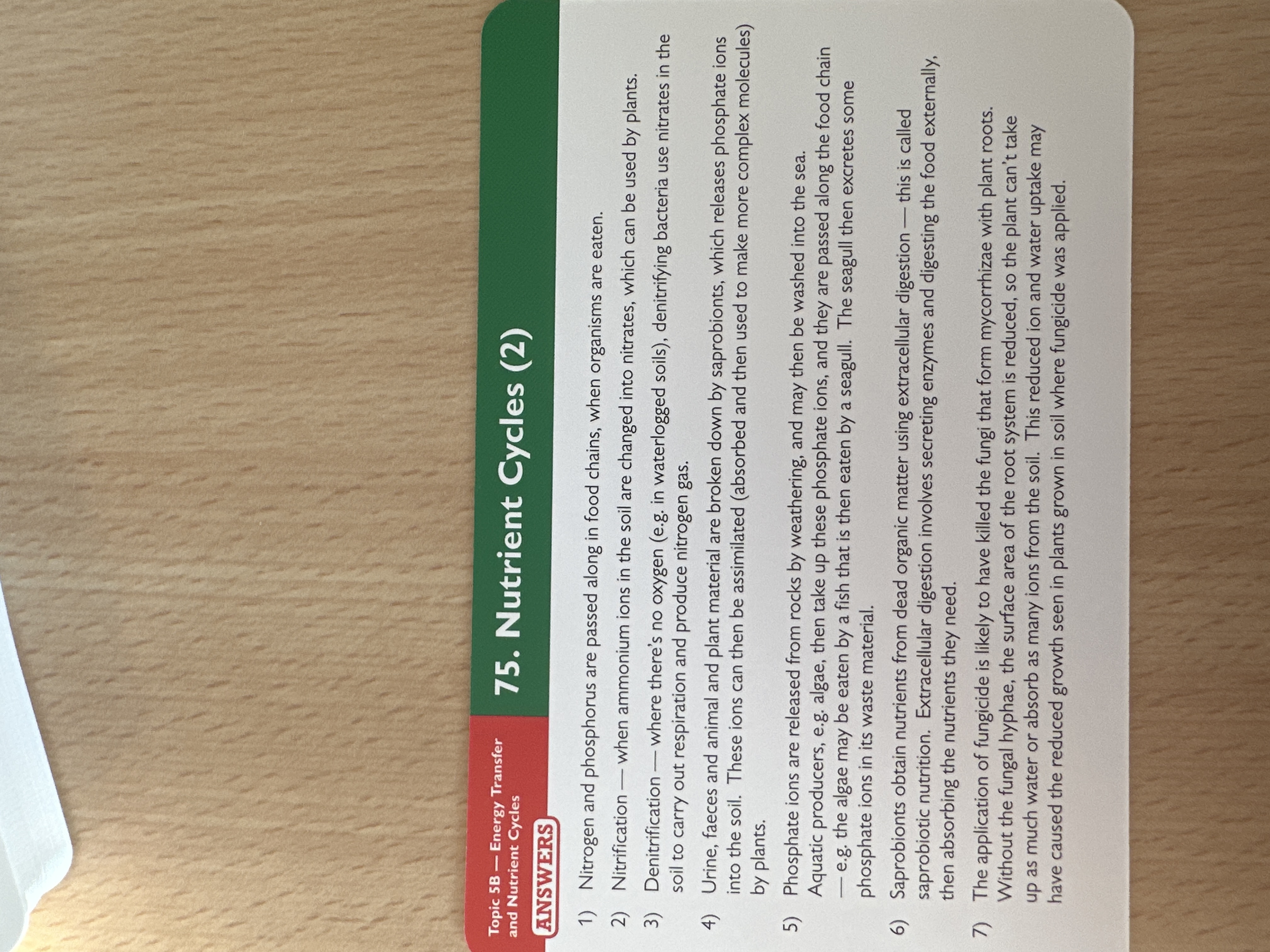 knowt flashcard image