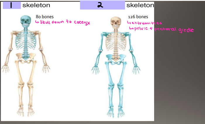 <p>List #1 and #2 in order </p>