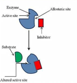 <p>A molecule (competitor) binding to an allosteric site resulting in blockage of the active site through some means and thus preventing the enzyme from binding to a substrate.</p><p>Usually the conformation of a protein changes thus blocking the active site after a molecule binds to an allosteric site in this process.</p>