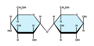 <p>a(1-4) Glucose-glucose</p>