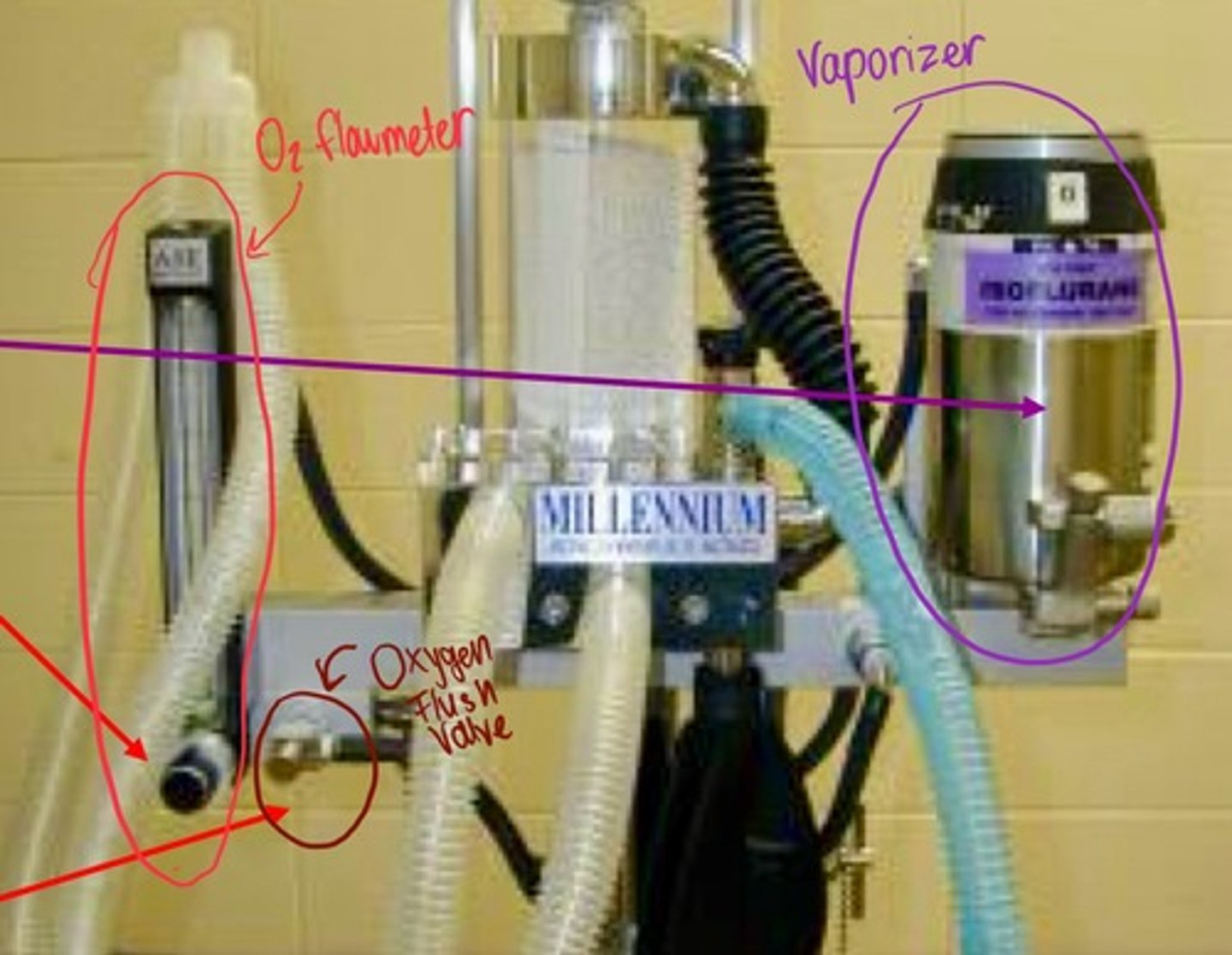 <p>-never use oxygen flush valve with non rebreathing system!</p><p>-allows for the rapid delivery of pure, 100% oxygen directly to the breathing circuit, bypassing the flowmeters and vaporizer, flows at high rates quickly fill rebreathing bag or purge anesthetic gas</p>