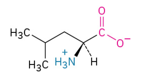 <p>is an essential amino acid that does two jobs: it helps build the internal structure of proteins. And it acts as the primary signal to kick-start muscle growth and repair. BCAA also</p><p><u><mark data-color="#fff2d8" style="background-color: rgb(255, 242, 216); color: inherit;">Nonpolar, Nonaromatic </mark></u></p>