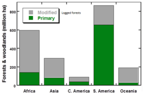 <ul><li><p>20% of tropical forests were logged in 2000-2005</p></li><li><p>400m hectares of tropical forest are in permanent timber estate (maintained for the purpose of producing timber)</p></li><li><p>There are regional differences e.g. Africa, Asia and Central America have high logged forests but South America has the enormous Amazon so has less logged forest</p></li></ul><p></p>