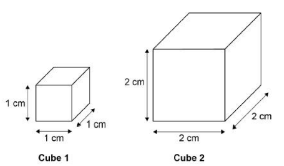 <p>A student used cubes of potato to investigate the effect of surface area and volume on the rate of osmosis. </p><p>The diagram shows two of the cubes of potato the student used.</p><p>The surface area to volume ratio of cube 1 is 6:1.</p><p>Calculate the surface area to volume ratio of cube 2.</p>