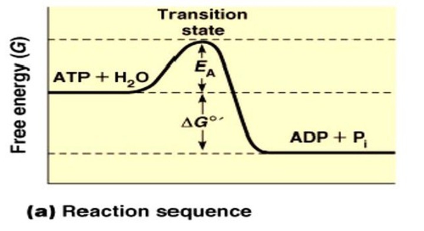 <p>The energy required to undergo a reaction.</p>