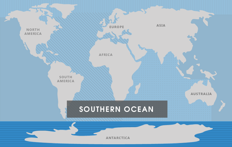 <p>Southern Ocean</p>