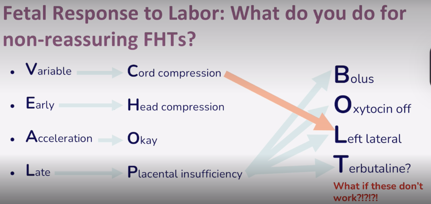 <p>If these do not work, we will have to do an emergency C section </p>