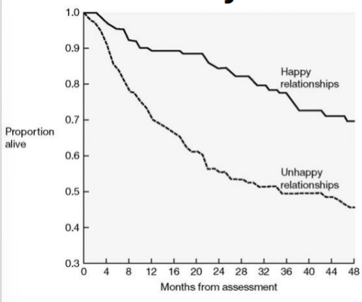 <p>after having a heart attack, people in happy vs unhappy relationships were later assessed to see if they were still alive</p>