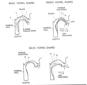 <p>Lip Rounding rule</p>