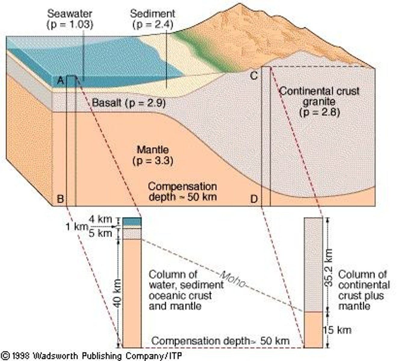 <p>Denser, thinner crust primarily composed of basalt.</p>