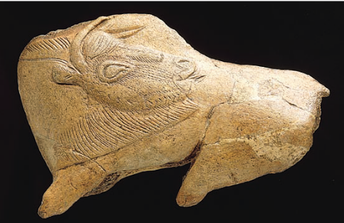 <ul><li><p>Detailed features of Bison</p></li><li><p>Head is still in profile (Animals are more common than human in Paleolithic Era)</p></li></ul><p></p>