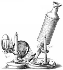<p>Use of microscopes to the development of cell theory</p>