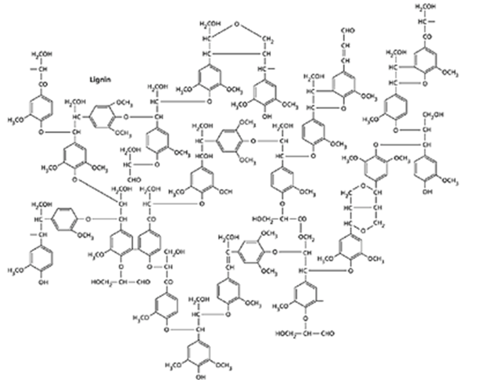 Lignin structure