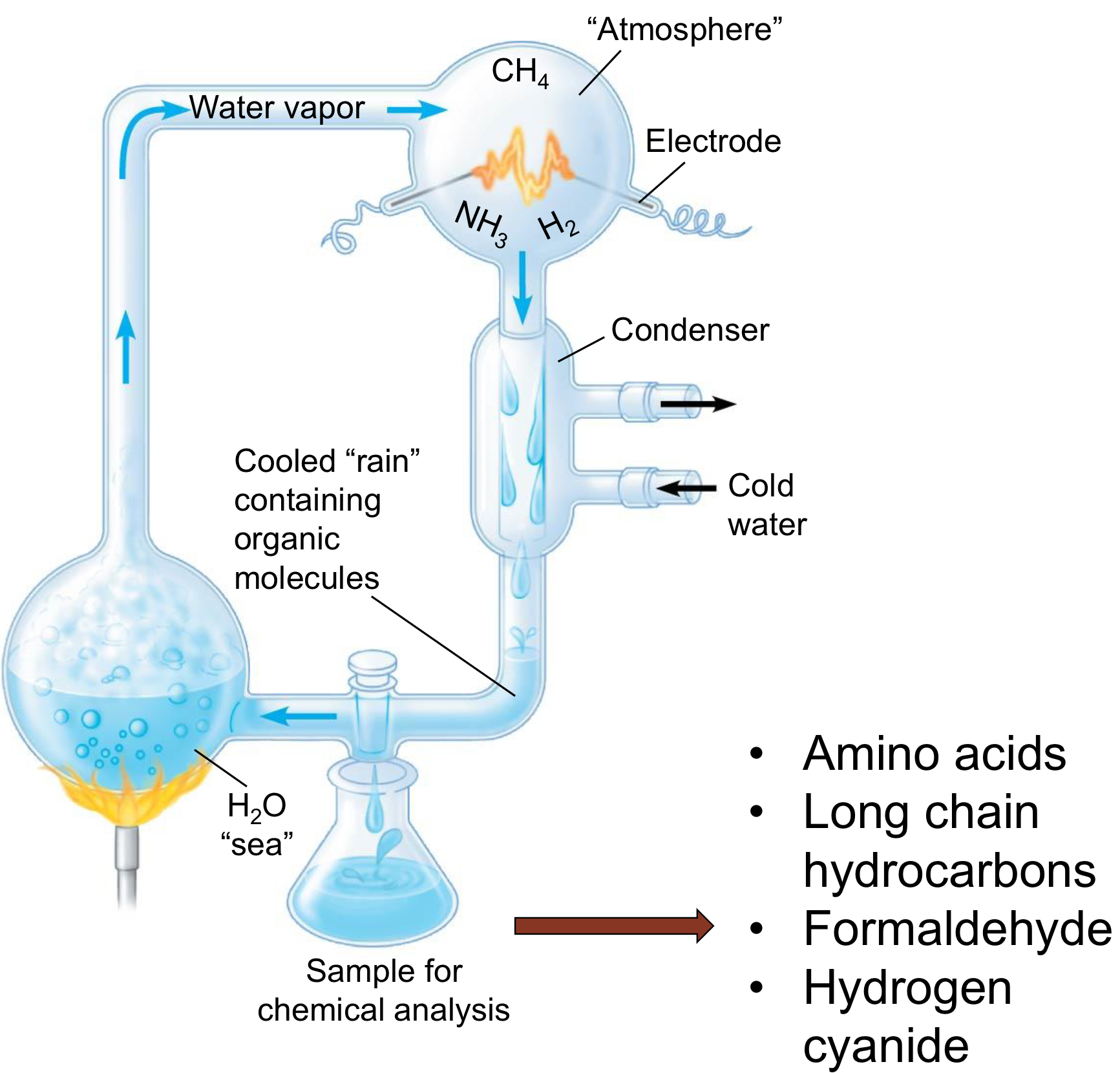 <p>Abiotic (non-living) synthesis of organic molecules in a reducing atmosphere is possible</p>