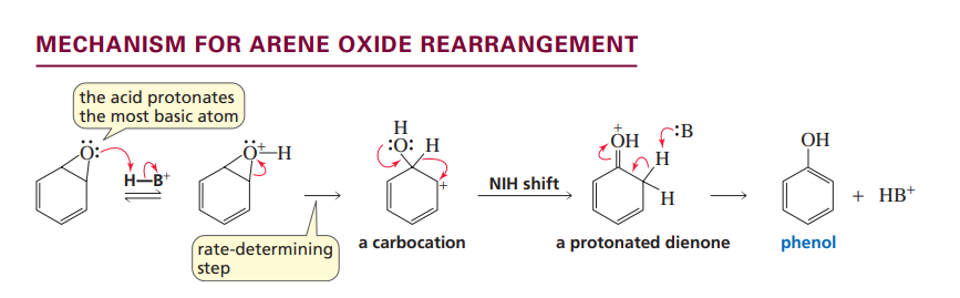 <p>Arene oxide rearrangement:NIH shift</p>