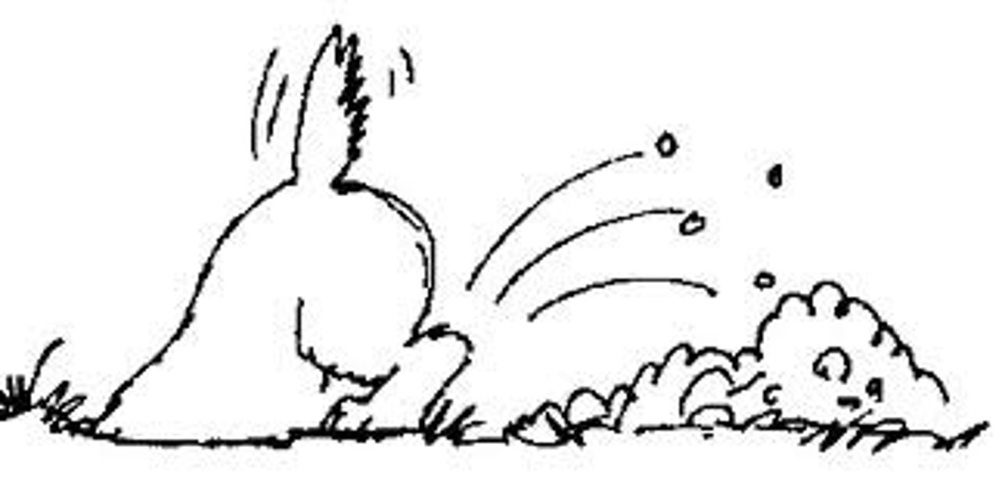 <p>v. to remove from a grave; to bring to light</p><p>syn. disinter, unearth, uncover</p><p>ant. bury, inter</p>