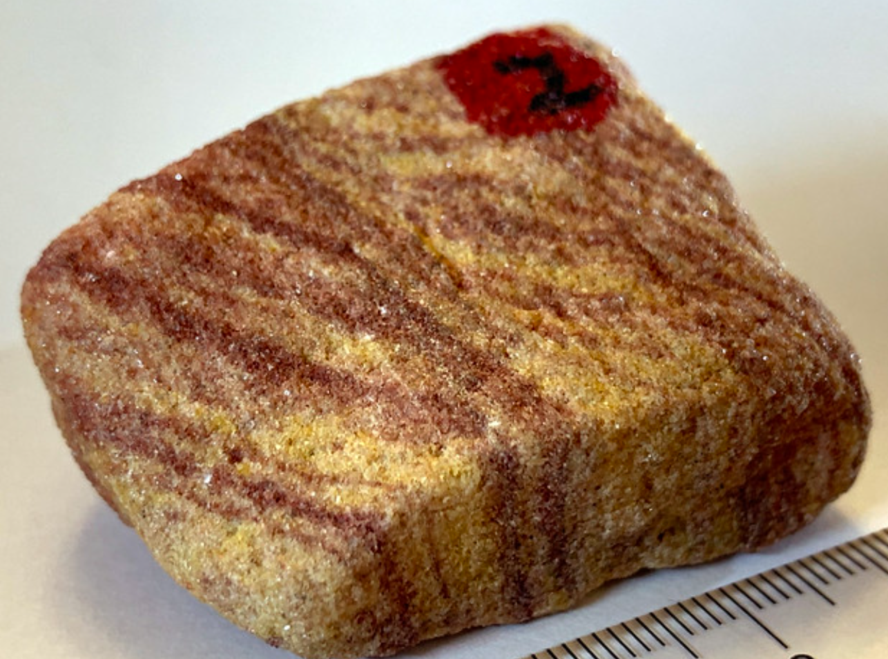 <ul><li><p>Cast Size- Sand</p></li><li><p>Clast sorting- well</p></li><li><p>Shape- rounded</p></li><li><p>Depositional Environments- </p></li></ul><p></p>