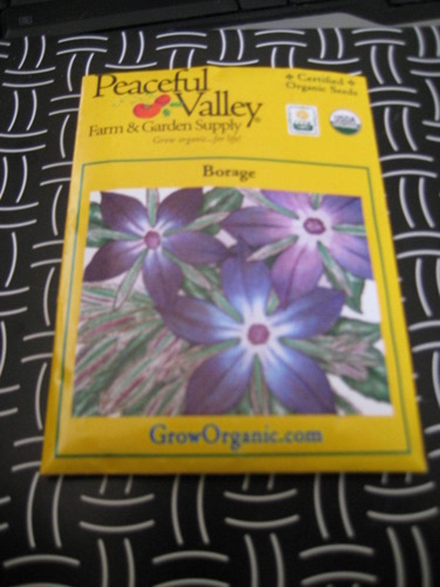 <p>Cell division that produces reproductive cells in sexually reproducing organisms</p>