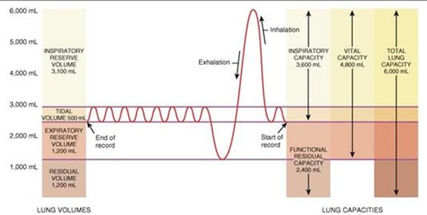 <p>know all of the volumes and capacities as well as their normal values.</p>