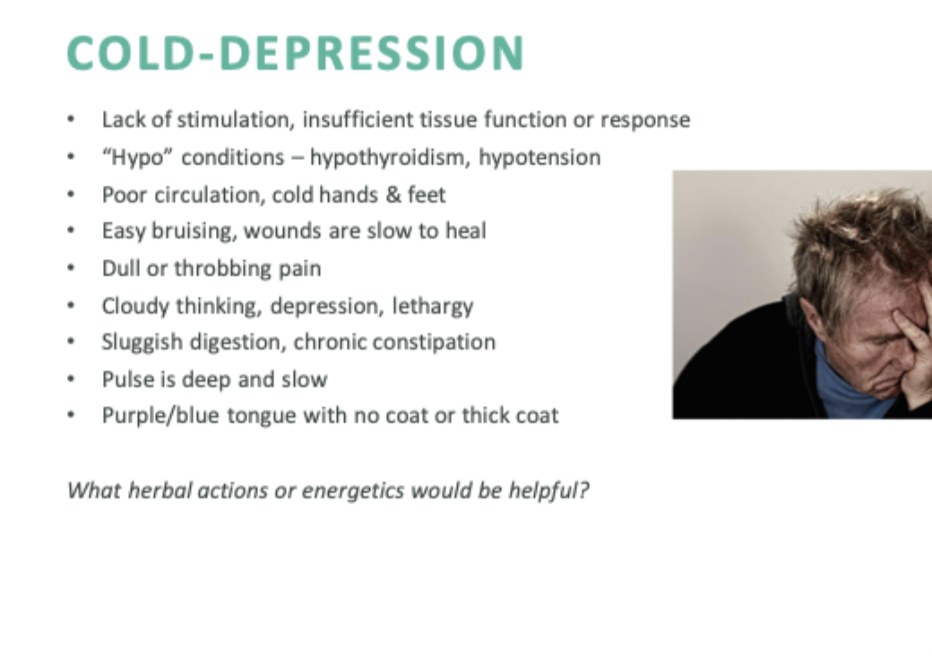 <p>A condition characterized by low energy, lethargy, and emotional dampening, often associated with conditions like depression or chronic fatigue. Symptoms may include coldness, pale complexion, slow movements, and a heavy feeling in the body. “Hypo” conditions like hypothyroidism or hypotension. Poor circulation, cold hand &amp; feet. Lack of stimulation, insufficient tissue function or response. Easy brusing, wounds are slow to heal. Dull or throbbing pain. Cloudy thinking, depression, lethargy. Sluggish digestion, pulse is slow, purple/blue tongue with no coat or thick coat. Herbal actions beneficial for Cold-Depression would typically include warming, stimulating, and uplifting properties, such as those found in herbs like ginger, cinnamon, and ginseng. </p>