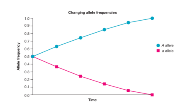 <p><strong>What does the graph suggest</strong></p>
